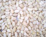 webmitra watermelonseedkernel